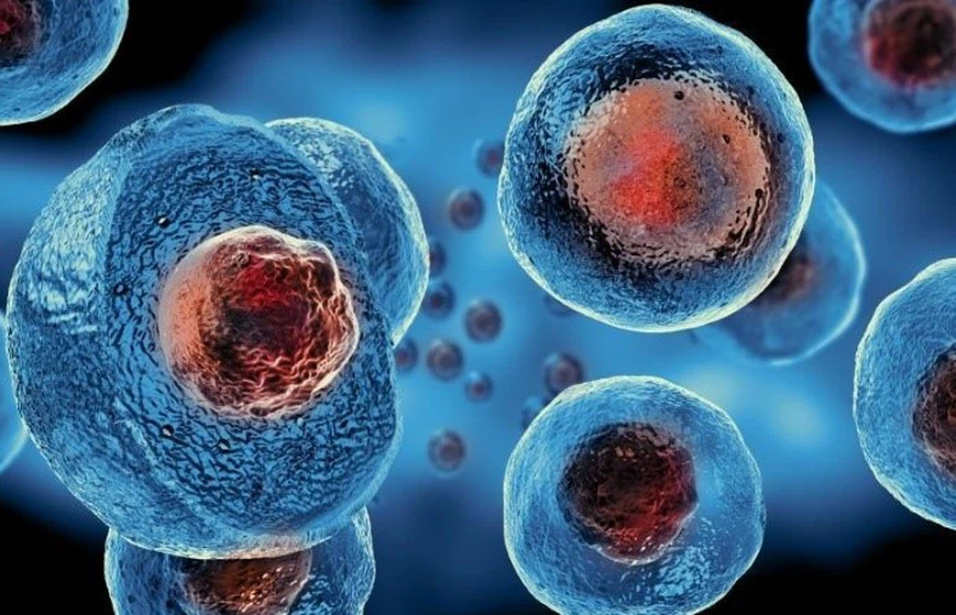 NAD+ Accelerating Skin Cell Turnover | Shaanxi BLOOM Tech Co., Ltd NAD+ Accelerating Skin Cell Turnover | Shaanxi BLOOM Tech Co., Ltd