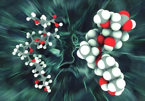 5-Amino-1MQ amino | Kpeptide 5-Amino-1MQ amino | Kpeptide