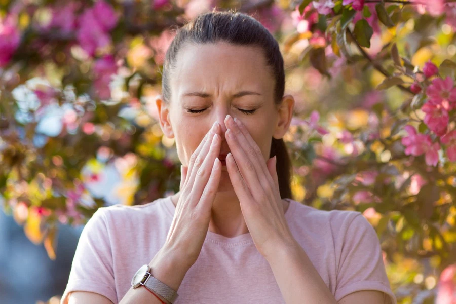 Paracetamol Powder CAS 103-90-2 | Shaanxi BLOOM Tech Co., Ltd Paracetamol Powder CAS 103-90-2 | Shaanxi BLOOM Tech Co., Ltd