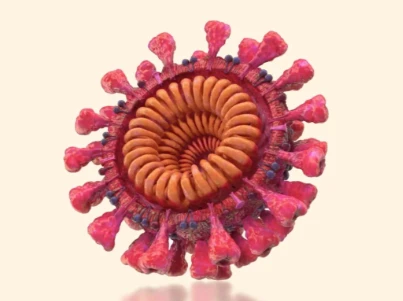 GS-441524 Cost | Shaanxi BLOOM Tech Co., Ltd GS-441524 Cost | Shaanxi BLOOM Tech Co., Ltd