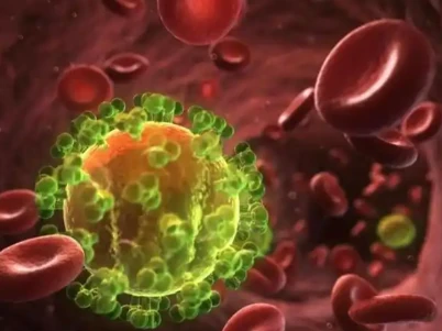 GS-441524 Preventing Viral Assembly | Shaanxi BLOOM Tech Co., Ltd GS-441524 Preventing Viral Assembly | Shaanxi BLOOM Tech Co., Ltd