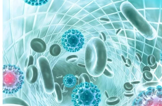 5-Amino-1MQ prevention | Kpeptide 5-Amino-1MQ prevention | Kpeptide