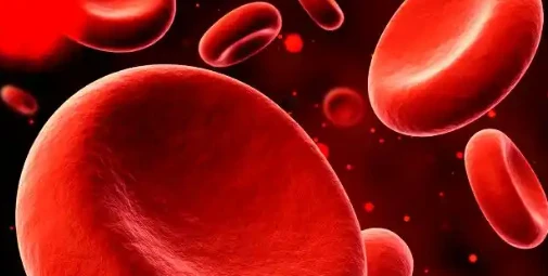 Peptide Cost | Shaanxi BLOOM Tech Co., Ltd Peptide Cost | Shaanxi BLOOM Tech Co., Ltd